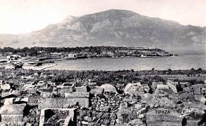 Tipaza 3